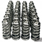 GSC P-D Porsche GT3/GT3 (991) Single Conical Valve Spring Ti Retainer Steel Spring Seat Kit