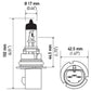 Hella Bulb 9007 12V 65/55W Px29T T4625 +50(2)