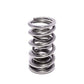 COMP Cams Dual Valve Spring .660in Lift