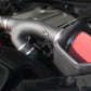 Corsa Apex 17-18 Ford F-150 3.5L EcoBoost DryTech 3D Metal Intake System