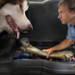 Husky Liners 15-23 Ford F-150 SuperCab Under Seat Storage Box