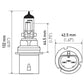 Hella Bulb 9004/HB1 12V 65/45W P29T T4.6