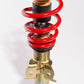 ROUSH 2015-2019 Ford Mustang 5.0L Single Adjustable Coil Over Kit (Excl. MagneRide Suspension)