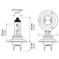 Hella Bulb H7 12V 55W Px26D T4625 +50