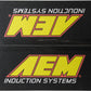AEM 94-01 Integra RS/LS/GS Red Short Ram Intake