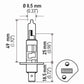 Hella Bulb H1 12V 55W P145S T25 Sb