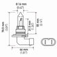 Hella Bulb 9005/Hb3 12V 65W P20D T4 (2)
