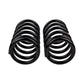 ARB Coil Maz Tribute R