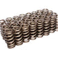 COMP Cams Valve SpringFord 4.6/5.4L