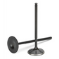 Supertech BMW S14 Black Nitrided Exhaust Valve - +1mm Oversize - Set of 8
