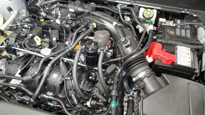 J&L 19-22 Ford/Lincoln SUV & Trucks w 2.0 EcoBoost Driver Side Oil Separator 3.0 - Black Anodized