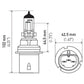 Hella Bulb 9004 12V 65/45W P29T T4625 +50
