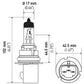 Hella Bulb Hb5 9007 12V 65/55W Xen Ylw