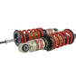Skunk2 02-04 Acura RSX (All Models) Pro S II Coilovers (10K/10K Spring Rates)