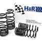 H&R 93-94 Volkswagen Passat Sedan VR6 Sport Spring