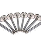 COMP Cams Ss Valves SBC Exh 1.500in 11/3