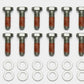 Wilwood Bolt Kit - 5/16-18 x 1.00 LG - 12 pk