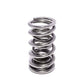 COMP Cams Dual Valve Spring .660in Lift