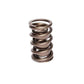 COMP Cams Valve Spring 2 Spring Assembl