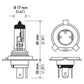 Hella Bulb 9003/HB2 12V 60/55W P43t LONG LIFE