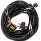 Wilwood Electronic Parking Brake Caliper Harness Wiring