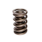 COMP Cams Valve Spring 1.550in 2 Spring