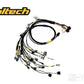 Rywire Honda B-Series (w/Haltech Elite 1500+) Eng Harn w/OBD1 Alt/EV1 Inj/AEM IAT & MAP (Adapt. Req)