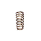 COMP Cams Valve Spring Ford 4.6L 2 Valve