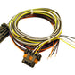 FAST Harness FAST Vss And Aux