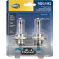 Hella Bulb 9003/Hb2 12V 60/55W P43T T46 (2)