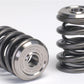 Skunk2 Alpha Series Honda/Acura K Series Valve Spring and Titanium Retainer Kit