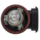 Hella H9 12V 65W PGJ19-5 HP 2.0 Halogen Bulbs
