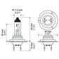 Hella Halogen H7 Bulb