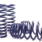 H&R 07-13 BMW X5 E70 Sport Spring (w/o Self-Leveling/Incl. Diesel)