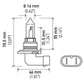 Hella Bulb 9005 12V 65W P20D T4 +50 (2)