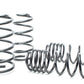 H&R 98-10 Volkswagen Beetle 4 Cyl/Turbo Sport Spring