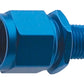 Fragola -6AN Female Swivel To 1/8 NPT