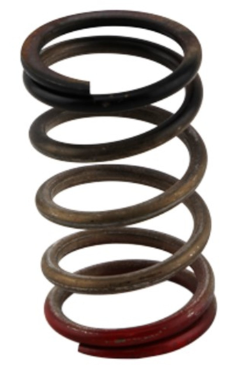 Wastegate Springs