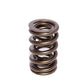 COMP Cams Valve Spring 1.400in 2 Spring