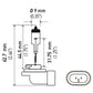 Hella Bulb 896 12V 37.5W PGJ13 T3.25