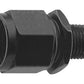 Fragola -6AN Female Swivel To 1/8 NPT - Black