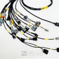 Rywire Honda B-Series (w/Syvecs SV7 ECU) Eng Harn w/OBD1 Alt/EV1 Inj/AEM IAT & MAP (Adapter Req)