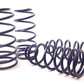 H&R 04-11 Chevrolet Aveo Sport Spring
