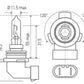 Hella Bulb 9012LL/HIR2 12V 55W PX22d