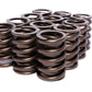 COMP Cams Valve Springs 1.460in Outer