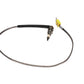 FAST Egt Probe 12 W/1/8 Npt