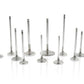 Ferrea Toyota/BMW B58 3.0L 30.6mm 4.97mm 99.15mm 19 Deg Supr Flo +.5 Comp Plus Int Valve - Set of 12