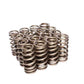COMP Cams Valve Springs Ford 4.6L 4 Valve