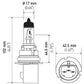 Hella Bulb 9007 12V 65/55W Px29T T4625 +50(2)