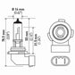 Hella Bulb H10/9145 12V 45W Py20D T4 Sb